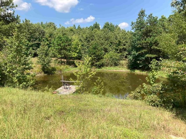 1228 Polk Road 23, Cove, AR 71937