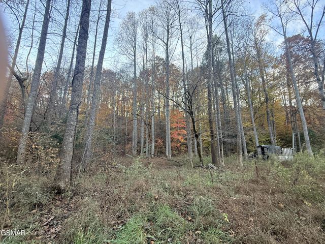 4243 Deerfoot Road, Newport, TN 37821