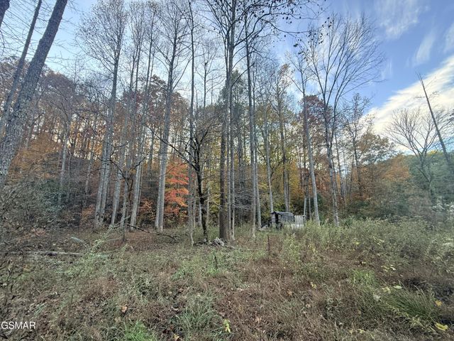 4243 Deerfoot Road, Newport, TN 37821