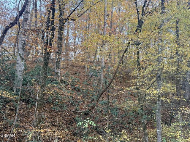 4243 Deerfoot Road, Newport, TN 37821
