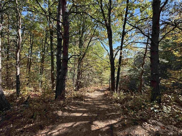 4273 N Dickerson Road, Manton, MI 49663