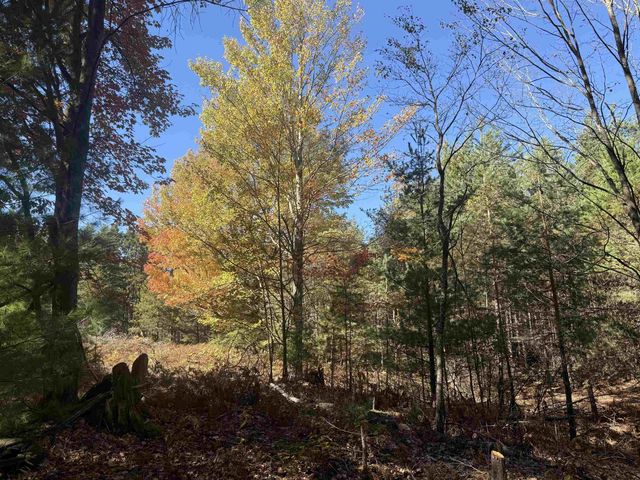 4273 N Dickerson Road, Manton, MI 49663