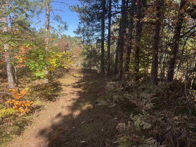 4273 N Dickerson Road, Manton, MI 49663