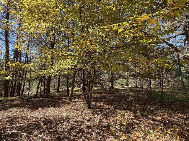 4273 N Dickerson Road, Manton, MI 49663