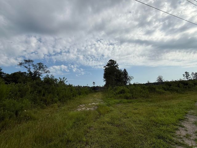 TBD Dukes Rd., Conway, SC 29526