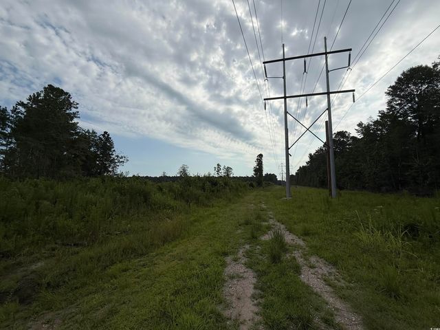 TBD Dukes Rd., Conway, SC 29526