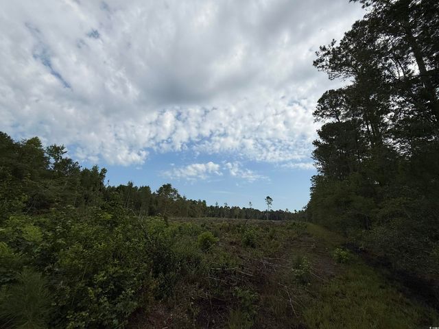 TBD Dukes Rd., Conway, SC 29526