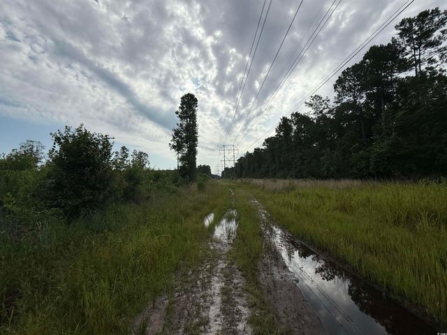 TBD Dukes Rd., Conway, SC 29526