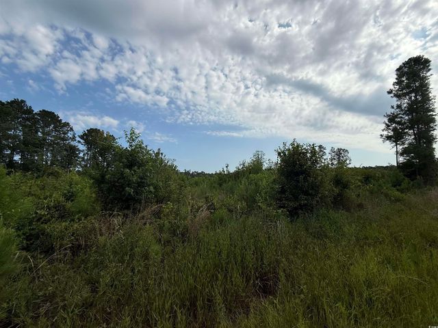 TBD Dukes Rd., Conway, SC 29526
