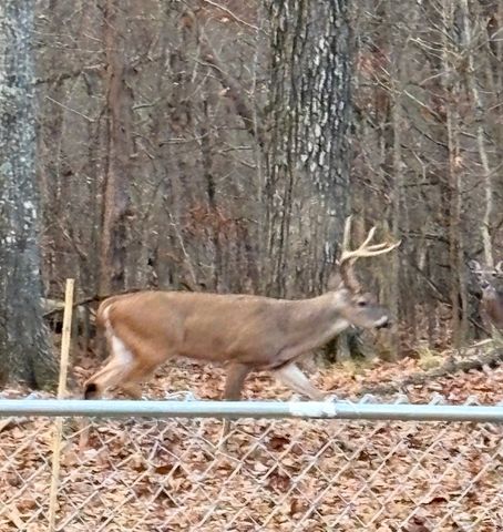 141 Bluegrass Pkwy, Lebanon, TN 37090