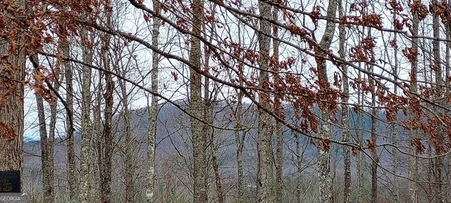 LOT 10 Trillium Heights, Brasstown, NC 28902