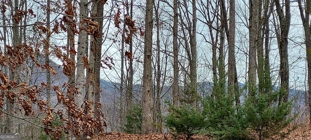 LOT 10 Trillium Heights, Brasstown, NC 28902