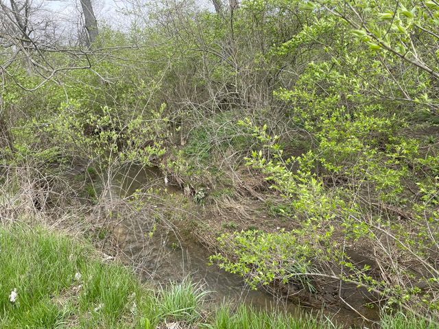 0 SR 56 W, Mount Sterling, OH 43143