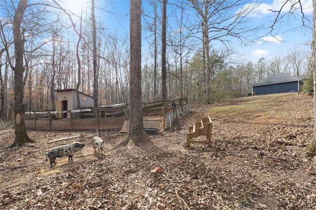 8399 E Carroll Road, Whitesburg, GA 30185