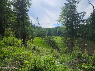 354 Swamp Donkey Trail, Sandpoint, ID 83864