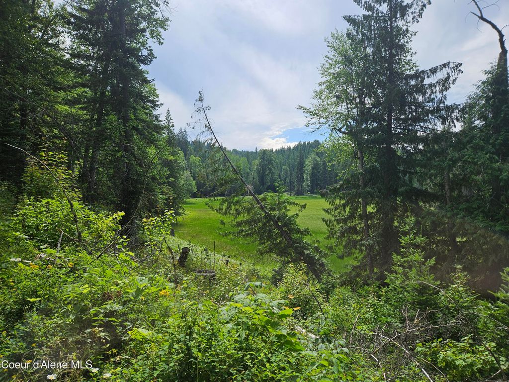 354 Swamp Donkey Trail, Sandpoint, ID 83864