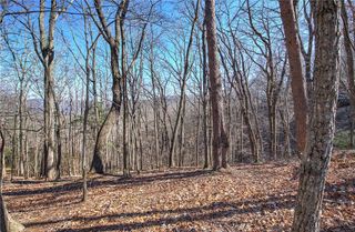0 Walnut Mountain Road, Ellijay, GA 30536