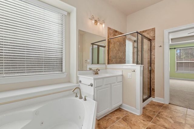 20530 Conery Grove Drive, Porter, TX 77365