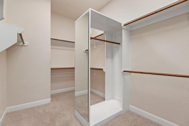 20530 Conery Grove Drive, Porter, TX 77365