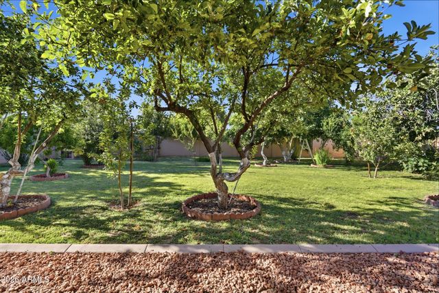 718 E ORANGEWOOD Avenue, Phoenix, AZ 85020