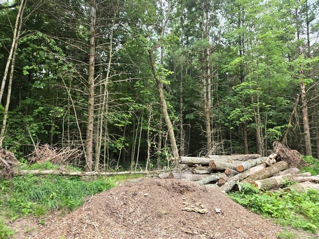 5369 E 68th Street, Yates Twp, MI 49623