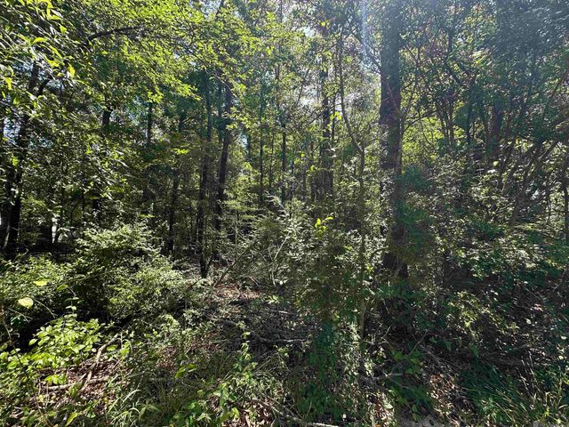 16051 Pride Port Hudson Rd, Pride, LA 70770