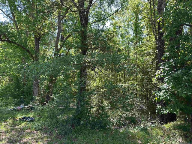 16051 Pride Port Hudson Rd, Pride, LA 70770