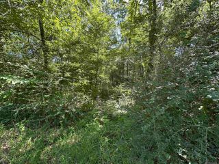 16051 Pride Port Hudson Rd, Pride, LA 70770
