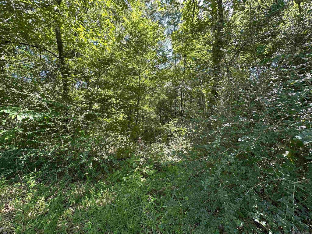 16051 Pride Port Hudson Rd, Pride, LA 70770