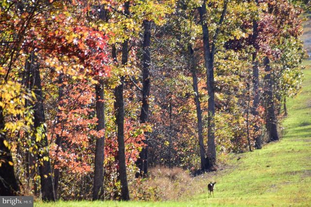 152.44 ACRES LOT 2 LAUREL GROVE RD, Winchester, VA 22602