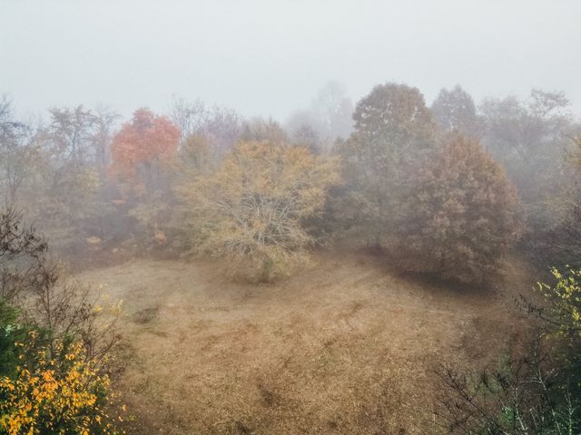 2100 Hill Station Rd, Columbia, TN 38401