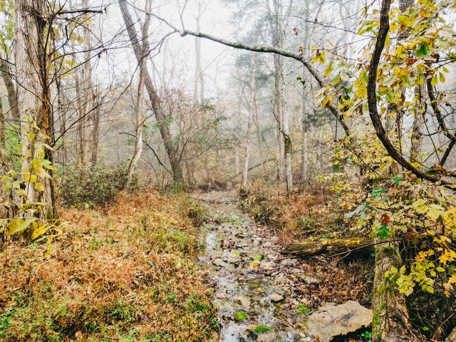 2100 Hill Station Rd, Columbia, TN 38401