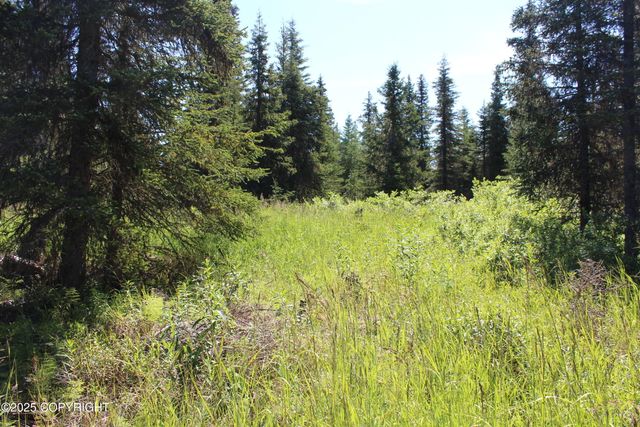 38593 Taylor Street, Anchor Point, AK 99556