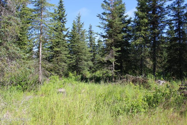 38593 Taylor Street, Anchor Point, AK 99556