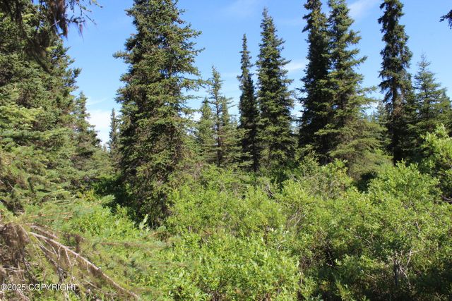 38593 Taylor Street, Anchor Point, AK 99556