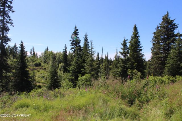 38593 Taylor Street, Anchor Point, AK 99556