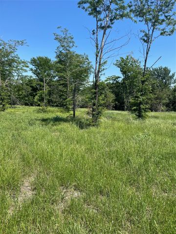 896 Blue Bird, Dodd City, TX 75438