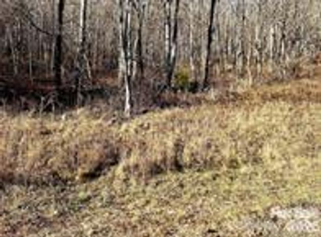 108 Lanning Road, Clyde, NC 28721