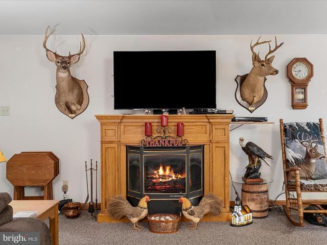 10260 TROUT RUN RD, Wardensville, WV 26851