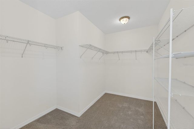 18858 ALFARO LOOP, Spring Hill, FL 34610