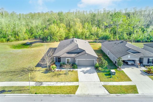 18858 ALFARO LOOP, Spring Hill, FL 34610