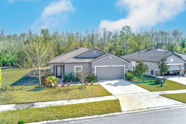 18858 ALFARO LOOP, Spring Hill, FL 34610