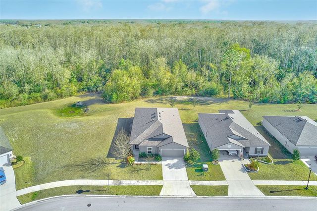 18858 ALFARO LOOP, Spring Hill, FL 34610