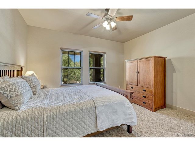1103 Greenland Forest Dr, Monument, CO 80132