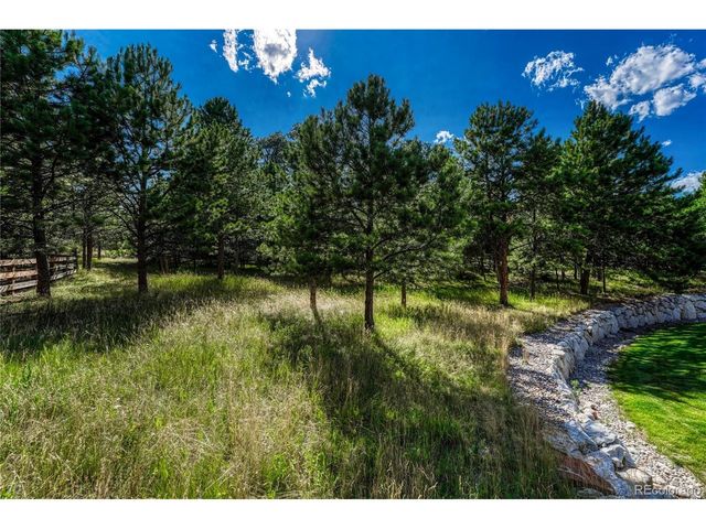 1103 Greenland Forest Dr, Monument, CO 80132