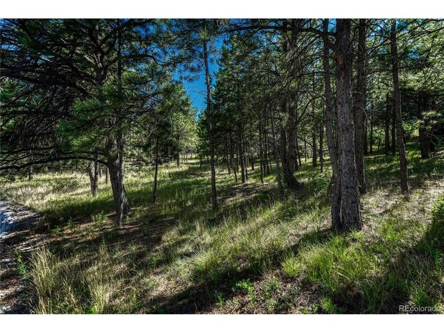 1103 Greenland Forest Dr, Monument, CO 80132