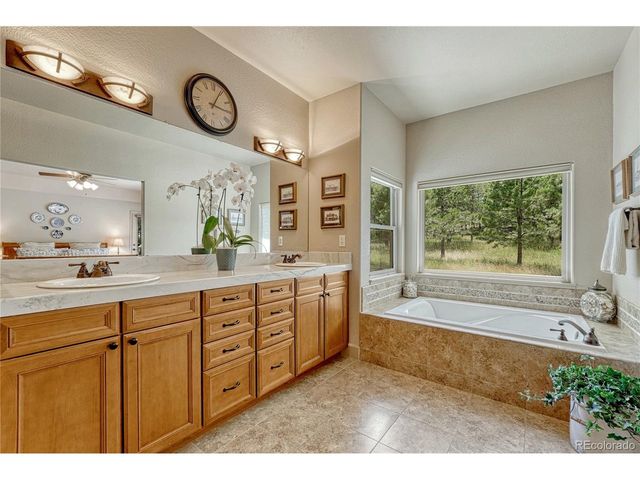 1103 Greenland Forest Dr, Monument, CO 80132