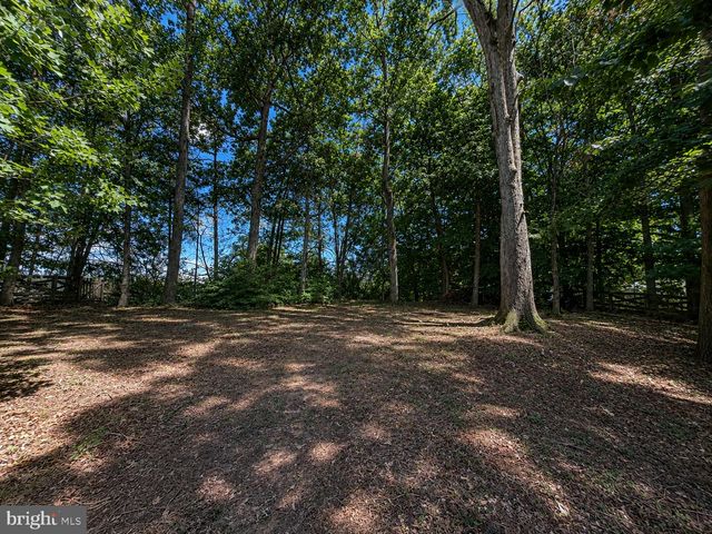 13325 POCOMOKE CT, Woodbridge, VA 22192