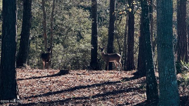 274 Genoes Point Road SW, Supply, NC 28462