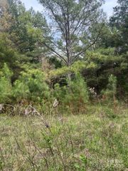 11055 Graybark Road, Midland, NC 28107